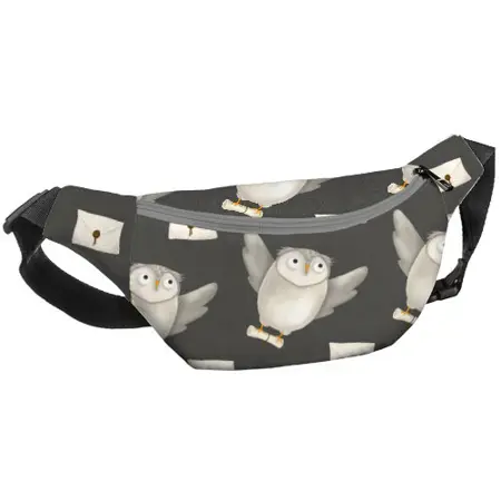 Ledvinka BUMBAG Sovičky